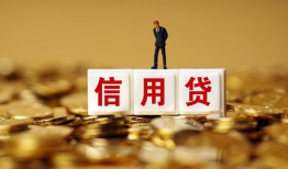成都5哪有个人借贷-成都5小额贷款公司-成都5私借空放免费上门